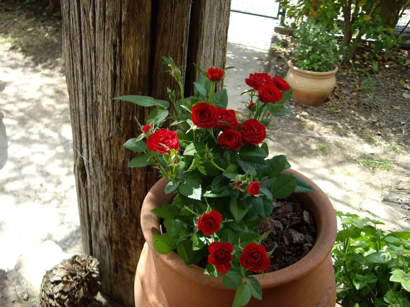Rural Farmhouse in Valencia de Alcántara With Pool