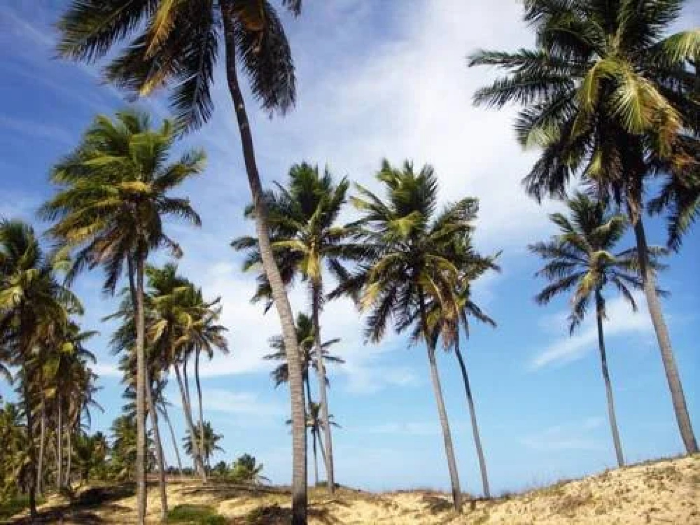 Village Imbassai Breeze