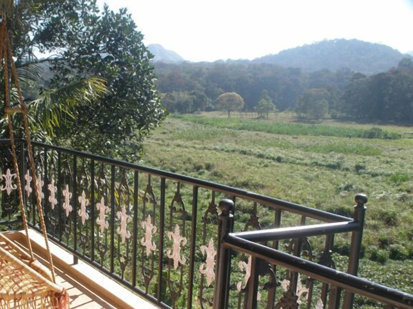 Jungle Palace Homestay