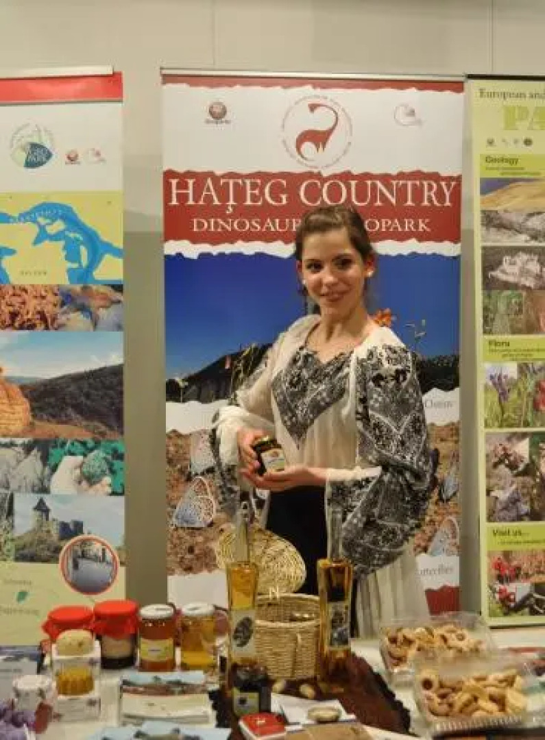 Pensiunea Iancu Salasu de Sus