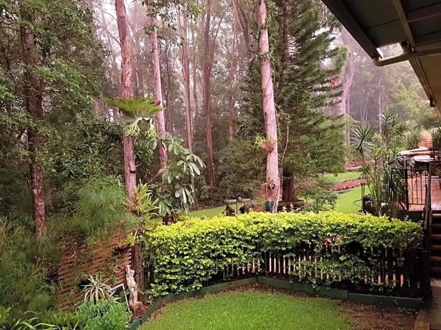Buderim Forest Hideaway