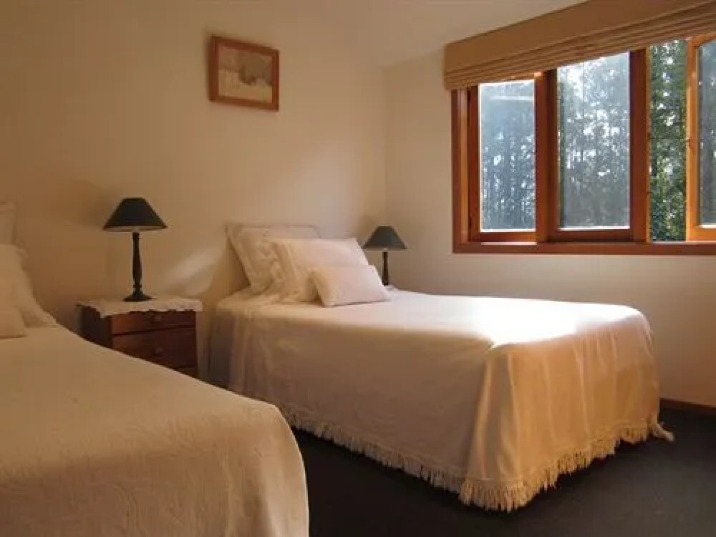 Dancing Trees Auckland