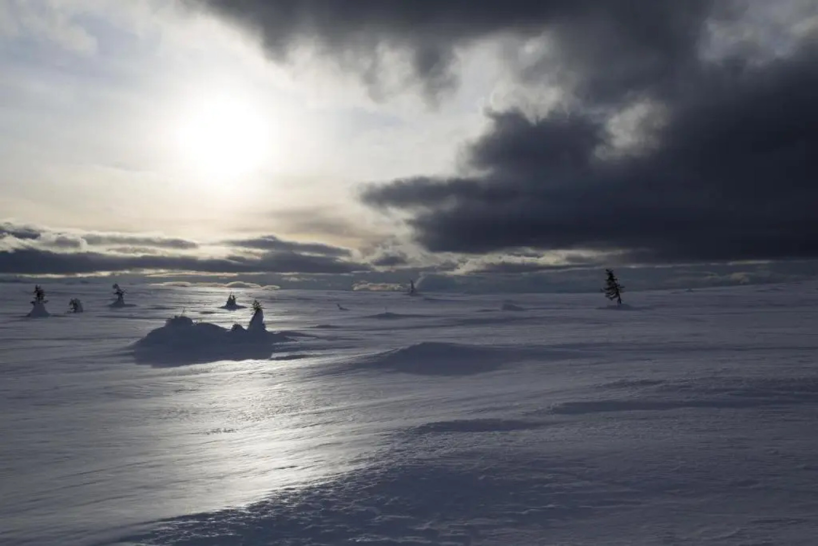 Pellestova Apartments