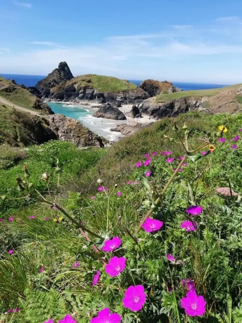 Kitty Unique 60s Caravan set in Pretty Garden