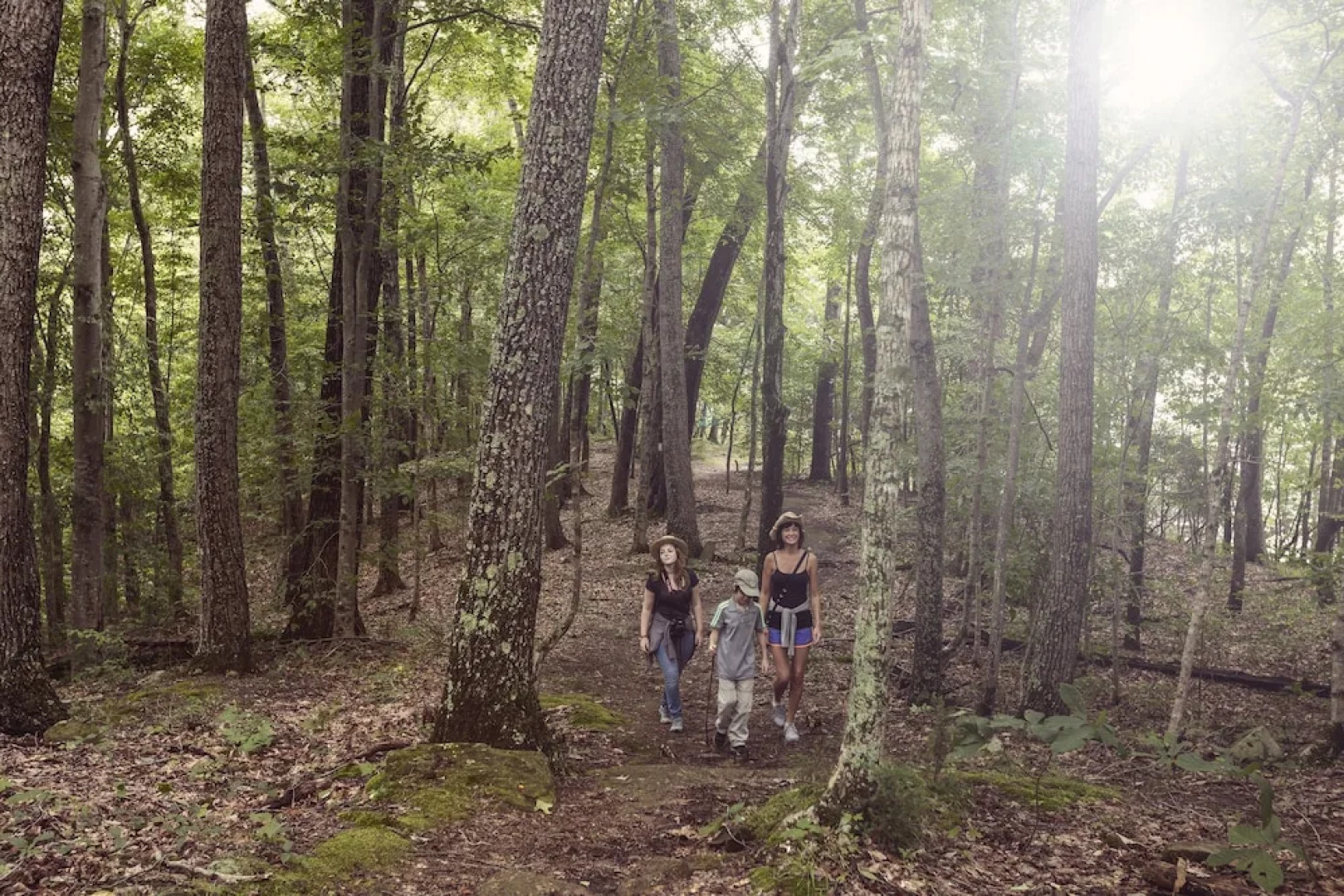 Dale Hollow Lake State Resort Park