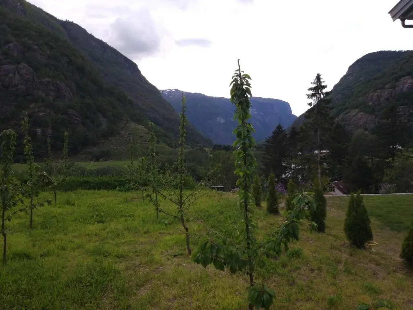 Skaimsberg Holiday Apartments