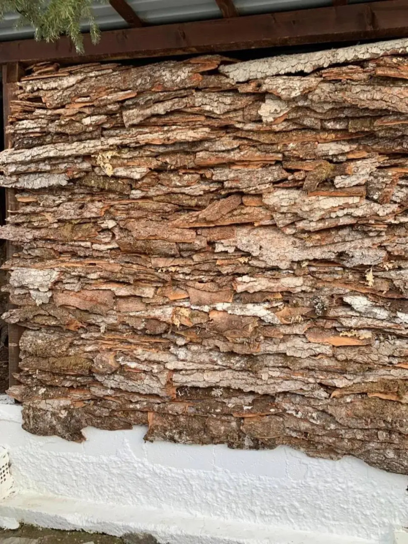 Stonehouse dome Lagadia