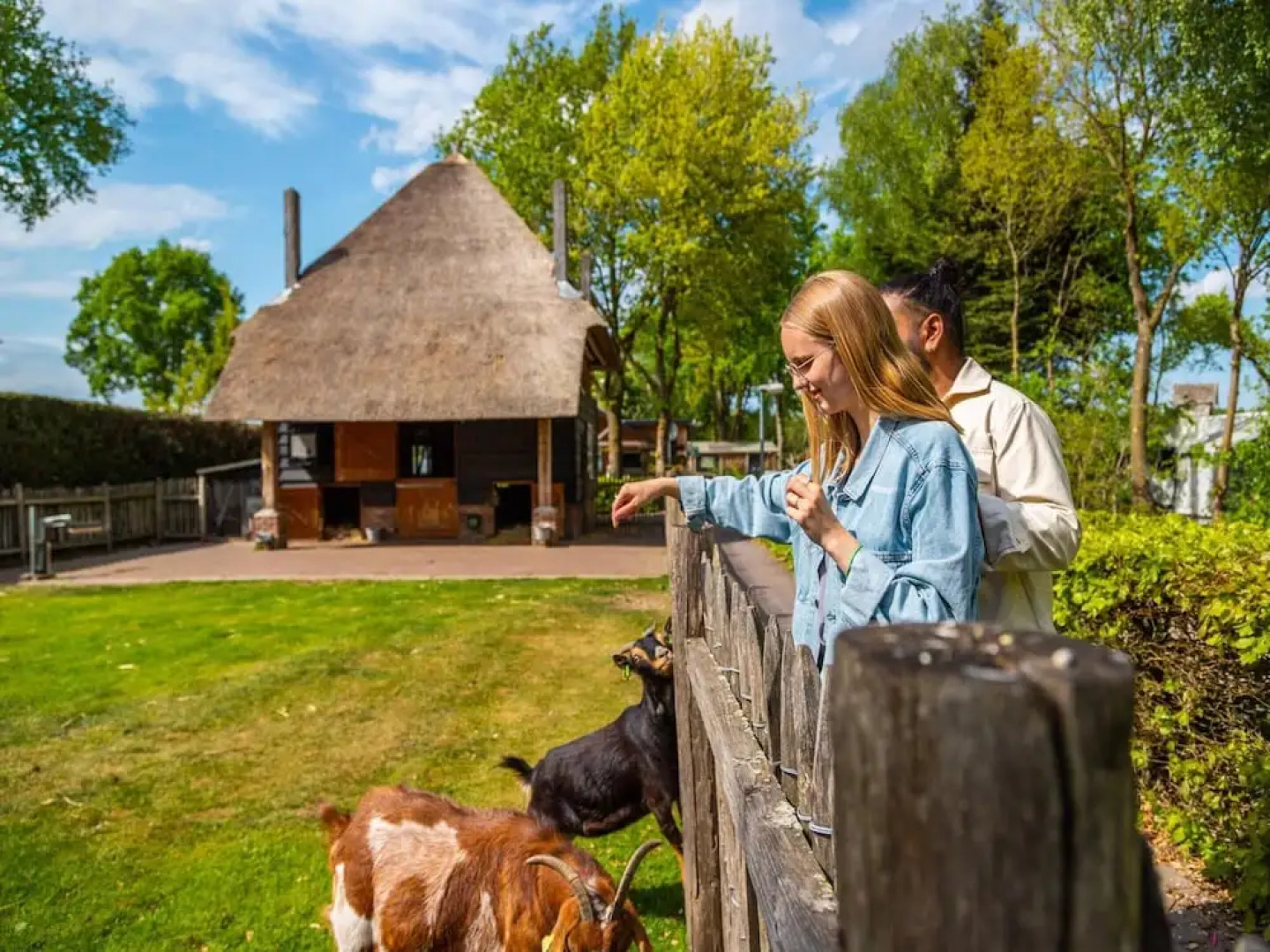 Wooden Chalet with Dishwasher near De Veluwe National Park