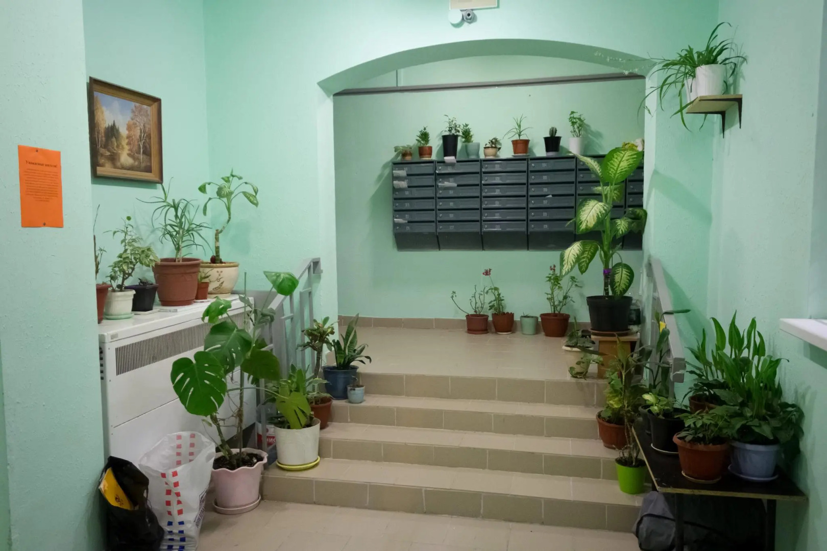 Studios Crocus (Студио Крокус) на Ильинском