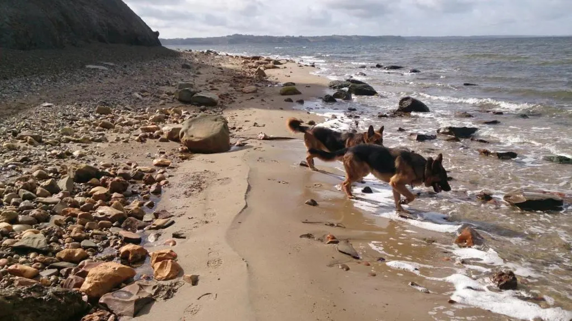 Hestbjerggaard Apartment