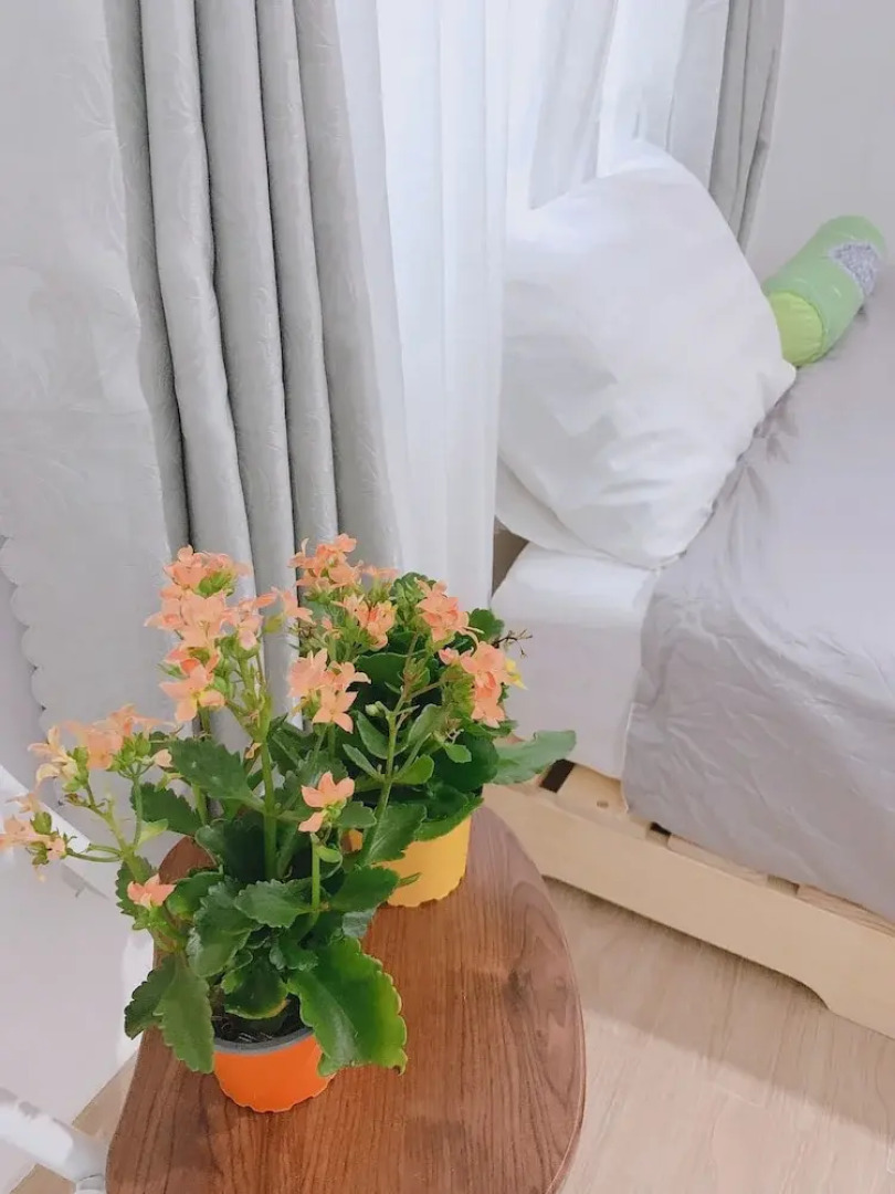 Yen Homestay Phu Yen