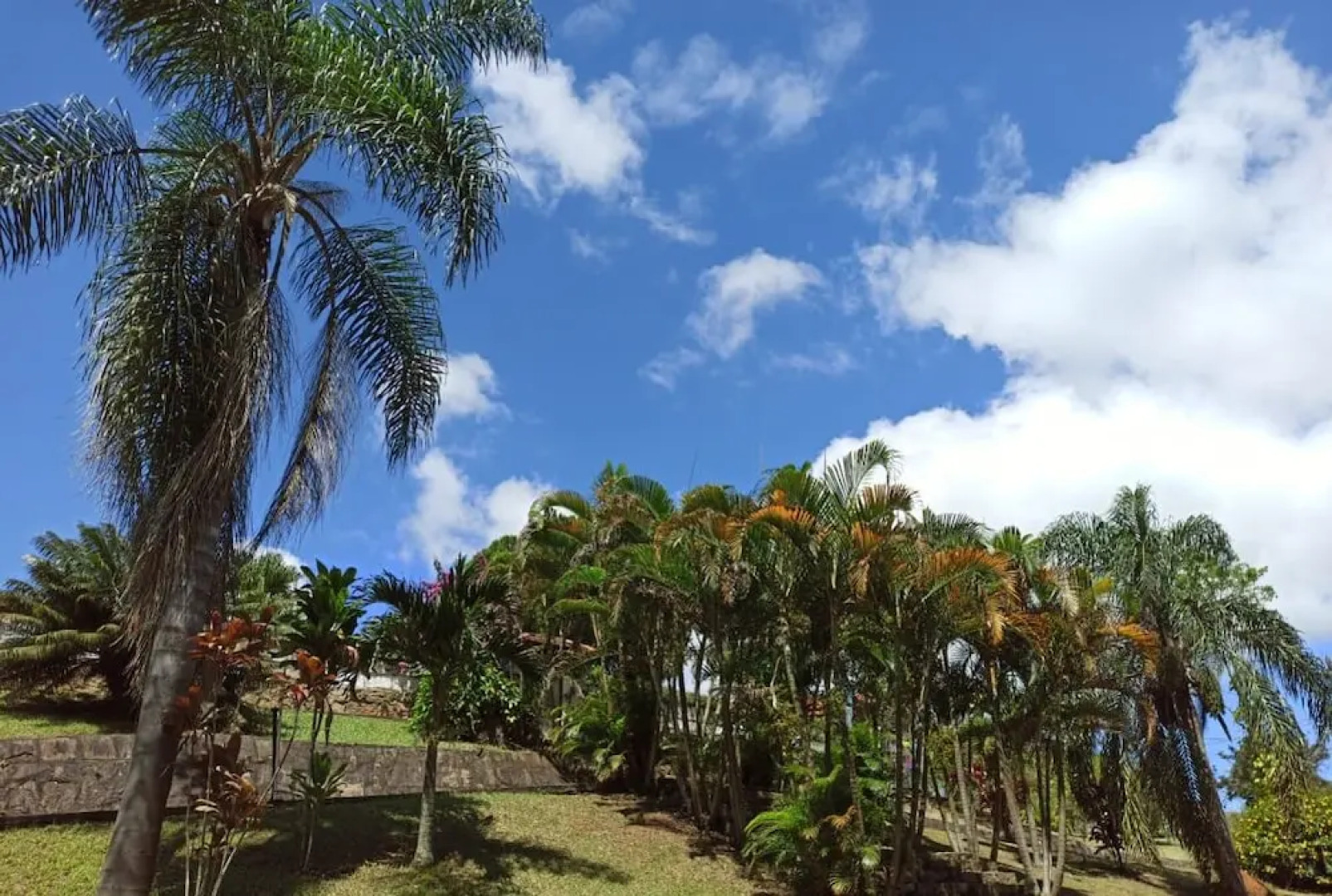 Pousada Barão do Javary