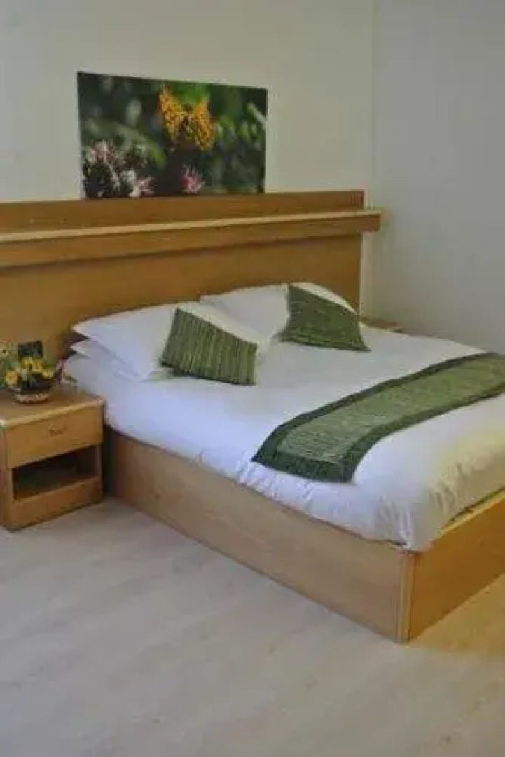 Alpenсolor Hotel Tonale