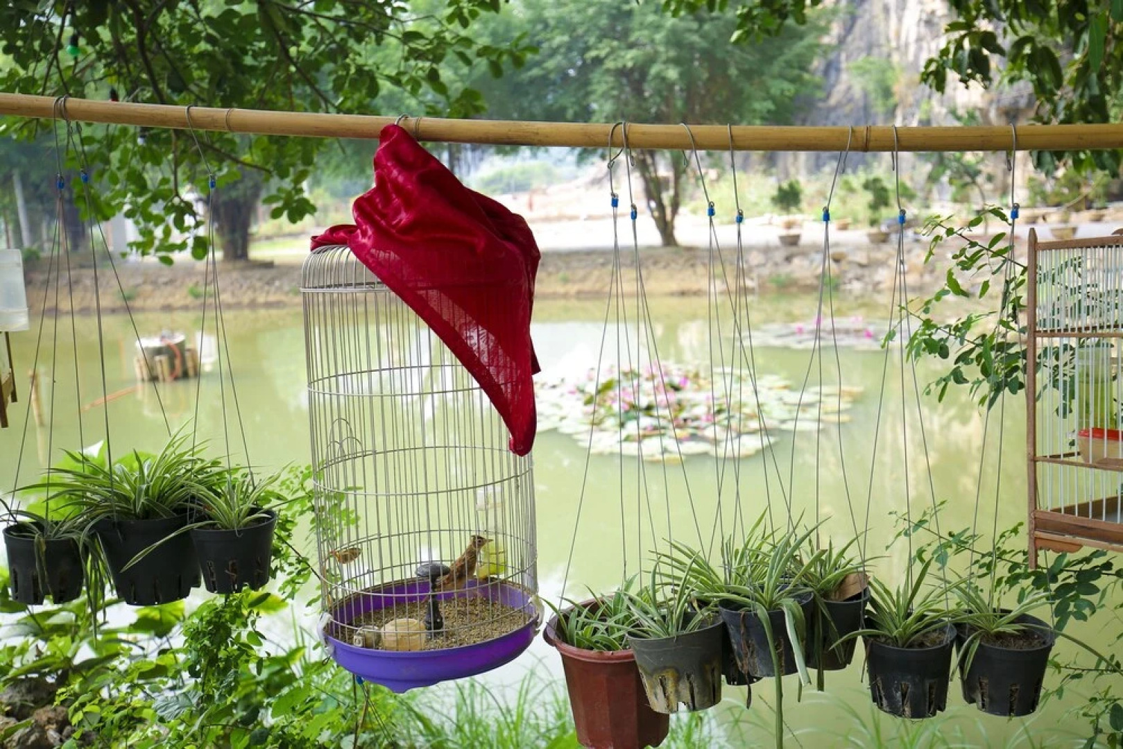 Trang An Passion Homestay - Hostel