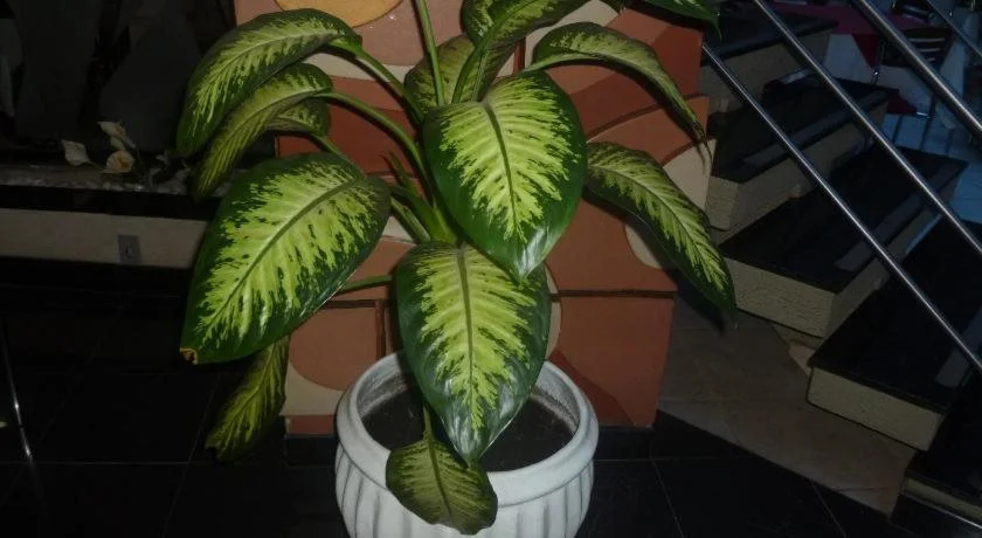 Atlas Hotel Residence