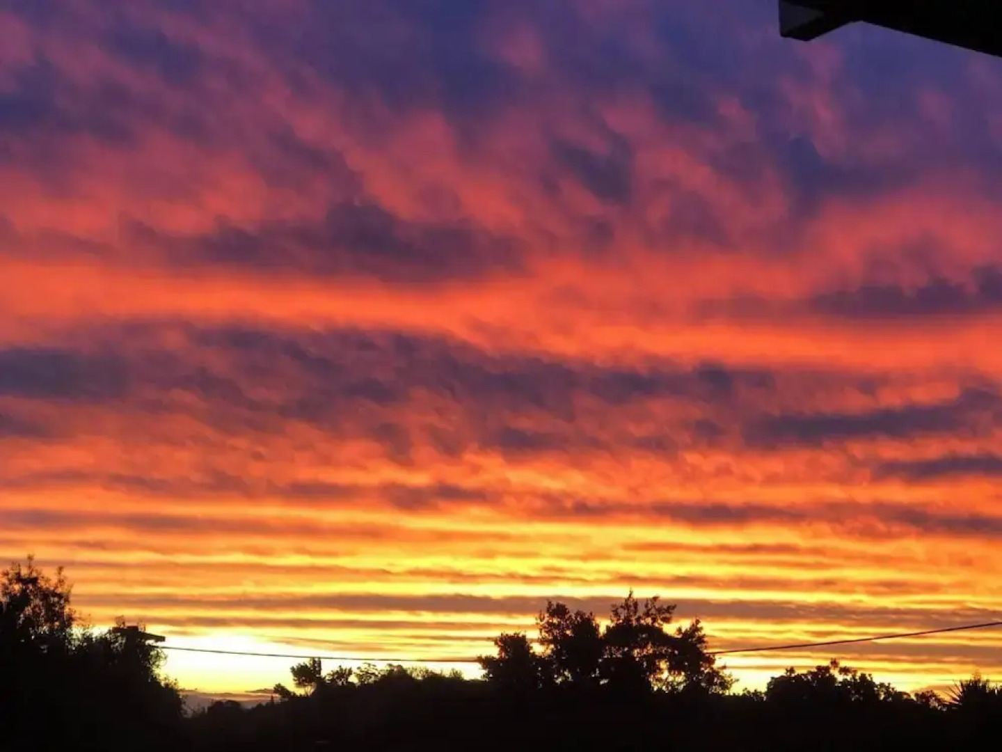 Cabane Tiny Tree House no4