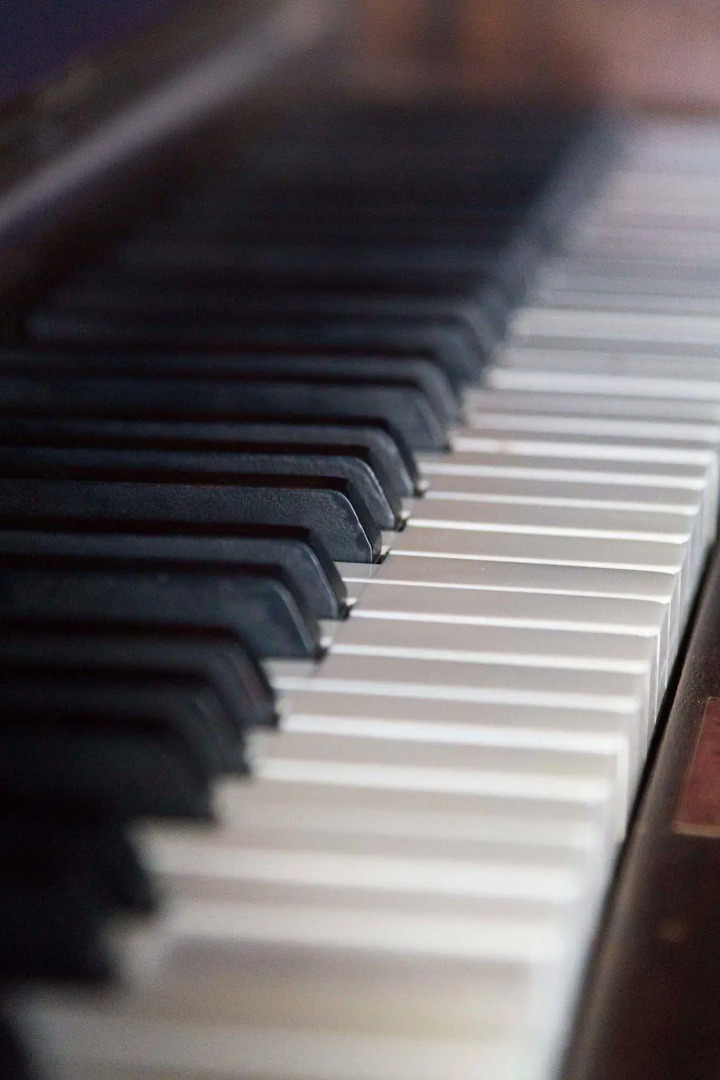 Willy Wallace Hostel Ltd