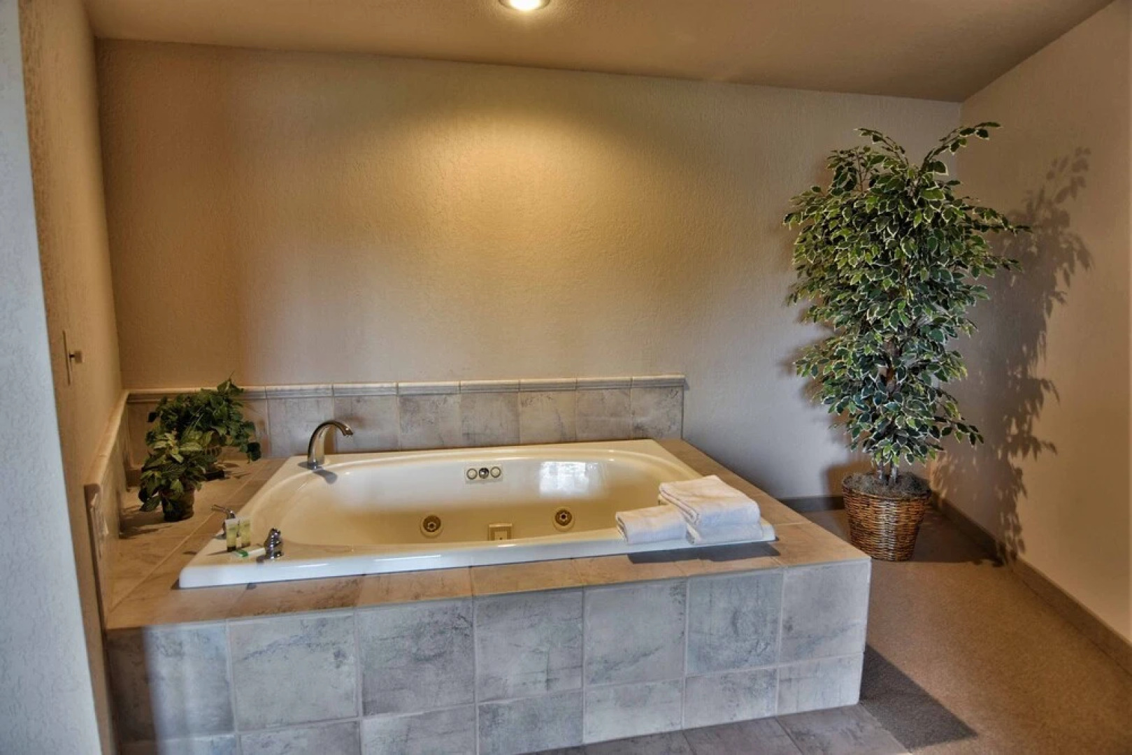 Unit 312 1 Bd/ 1 Ba Condo 1 Bedroom Condo by RedAwning