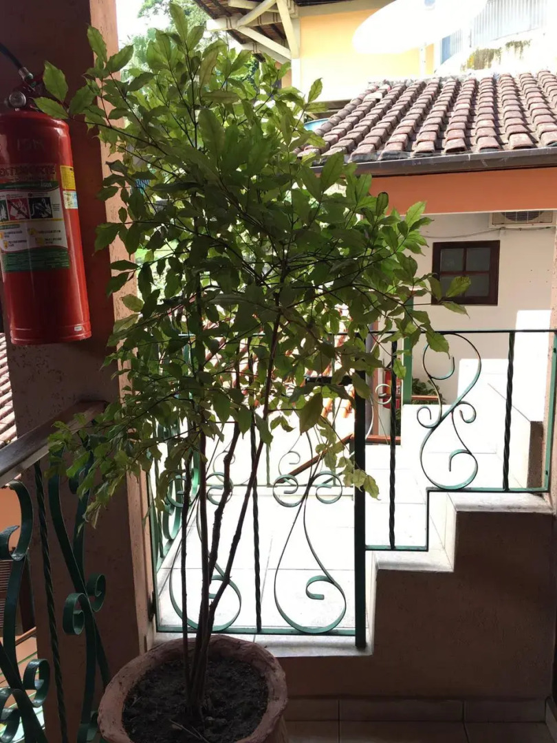 Pousada Irmaos do Mar