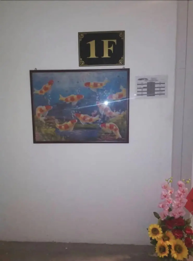 Zin Xin City View Hotel