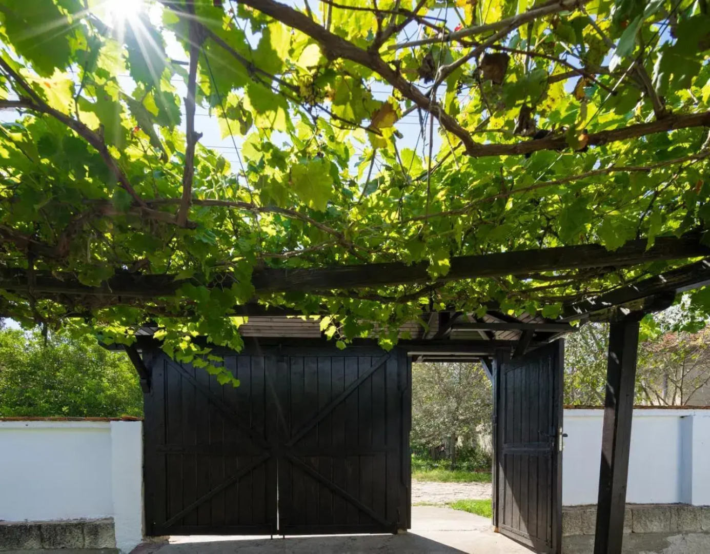 Guest House Intrigue