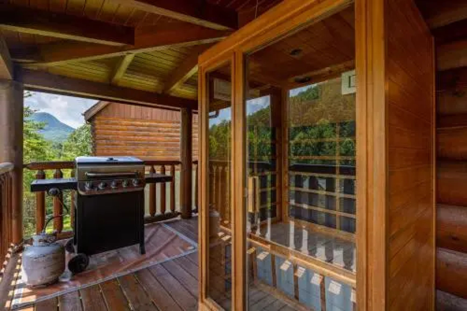 Moose Behaving 2 Br cabin by RedAwning