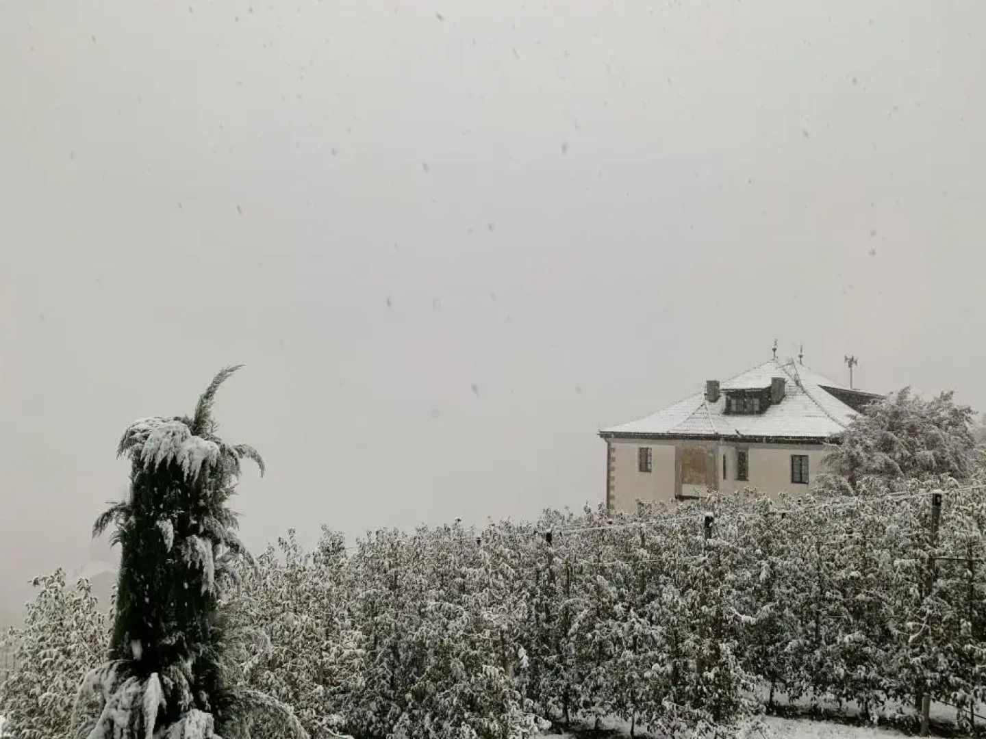 Agriturismo Klostergut