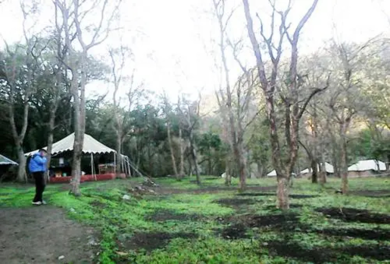 Camp Leopard Heights