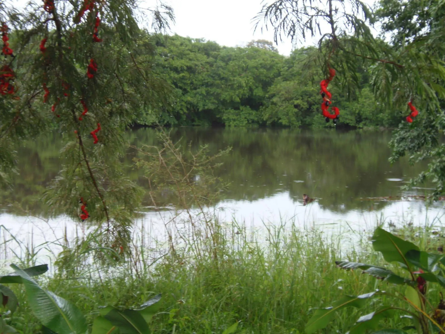 Posada Turismo Rural San Juan