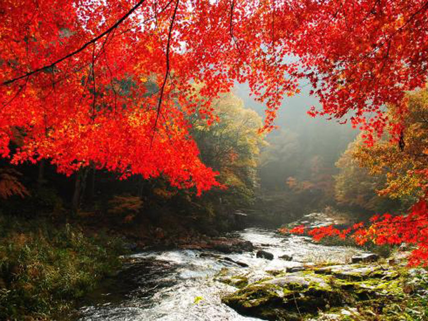 Yunogo Onsen Chikutei