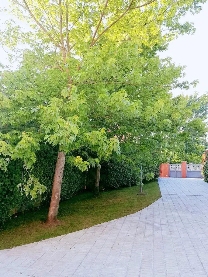 Apartment With 3 Bedrooms in Santa Cruz de Bezana, With Enclosed Garden and Wifi