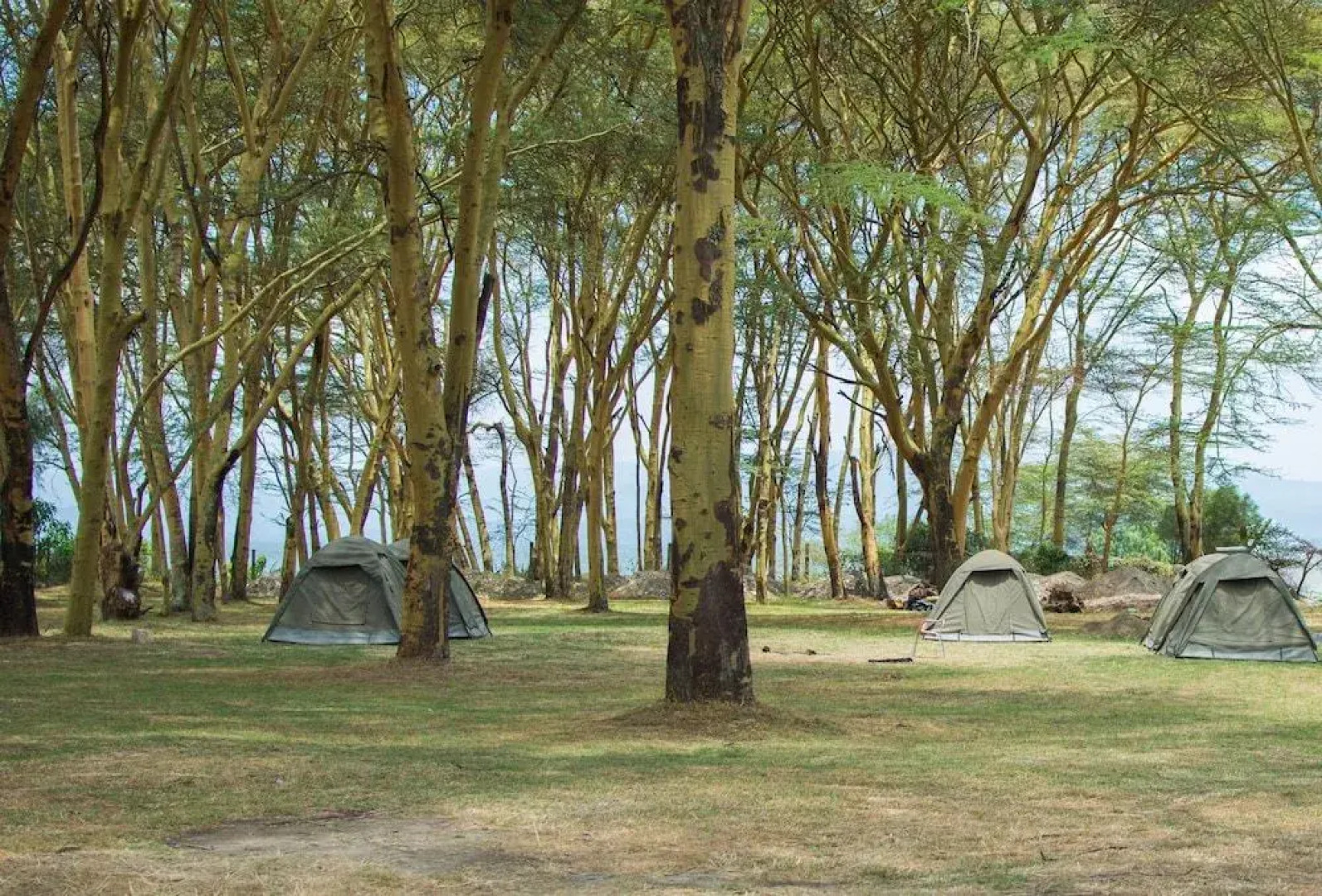 Burchs Resort Naivasha