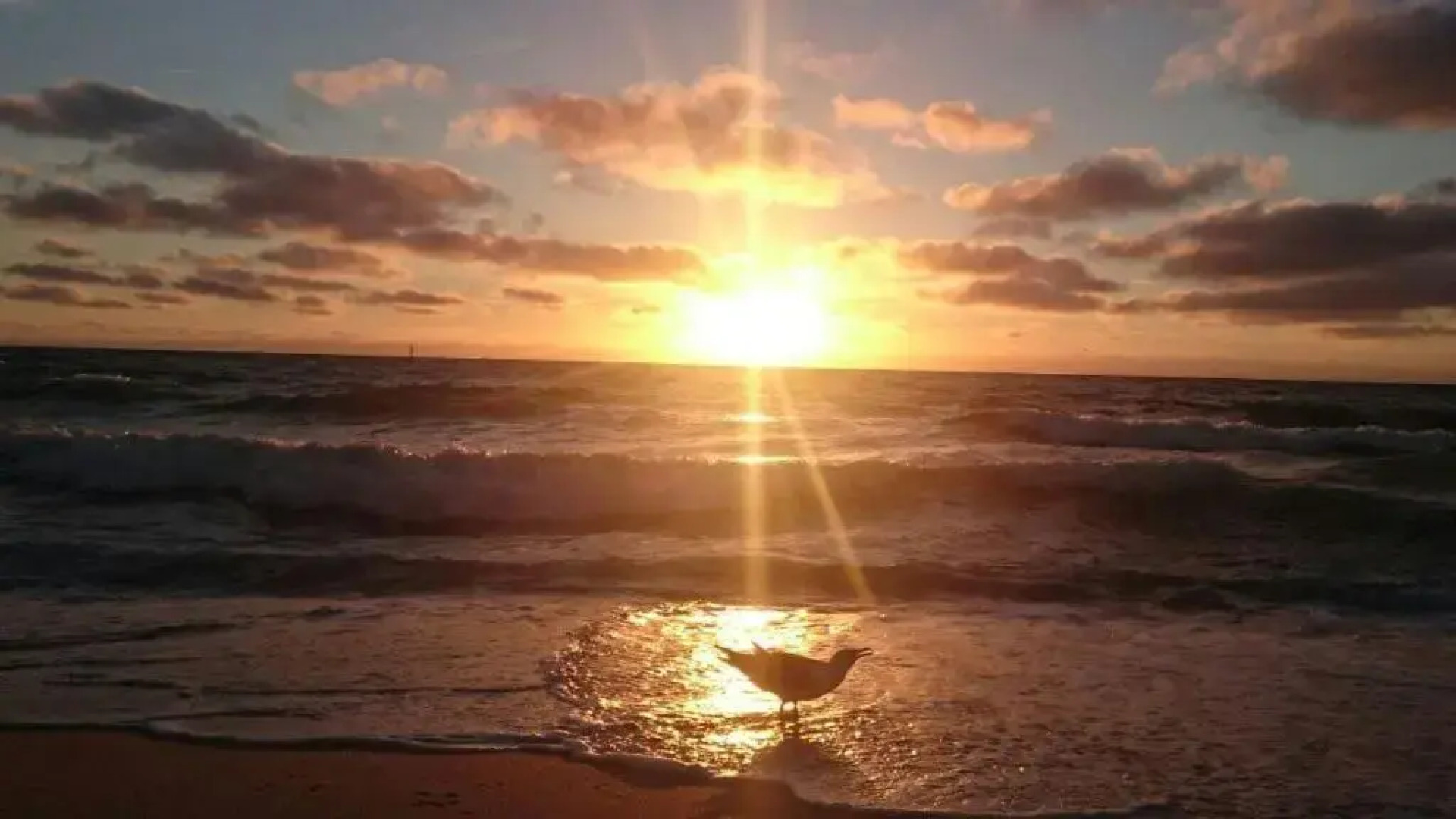 Schönes neues hochwertig renoviertes 2-Zimmer Appartement in der 4. Etage.