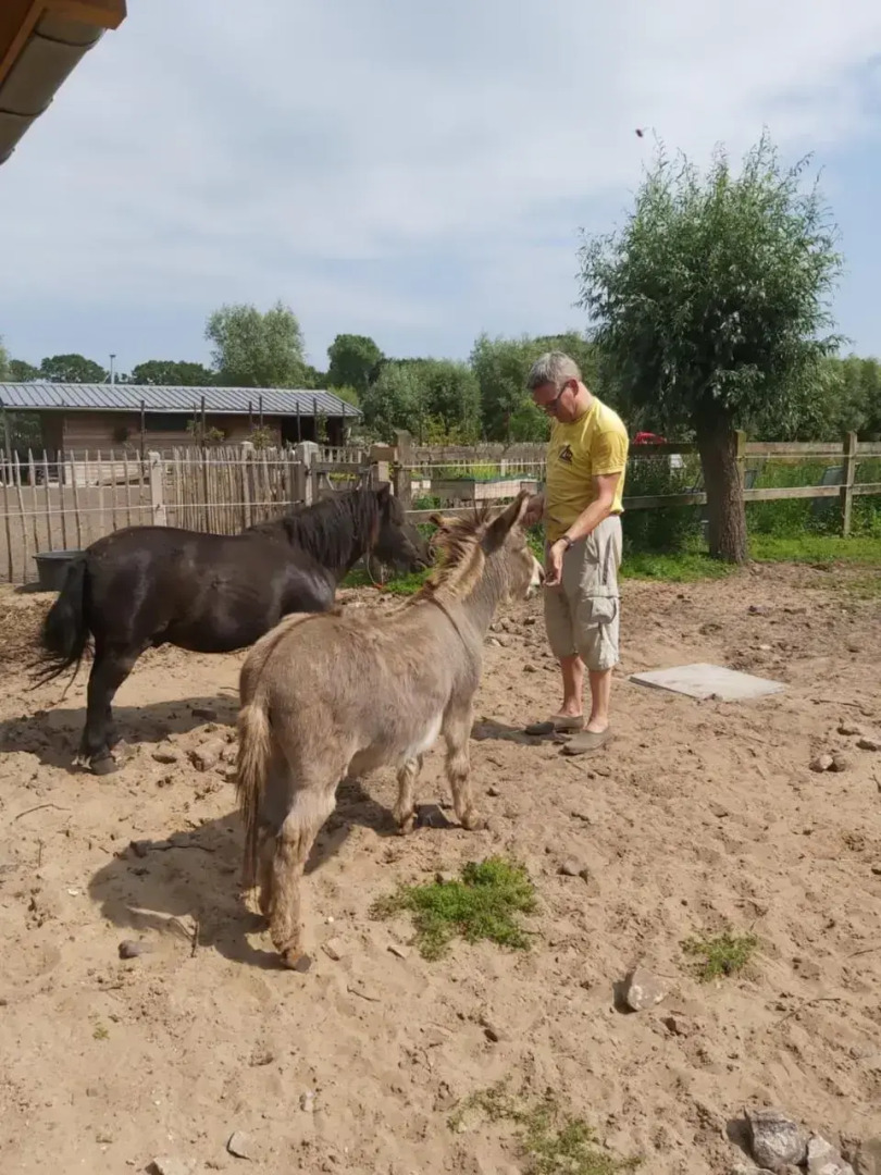 Want Logies: Ruime Loft