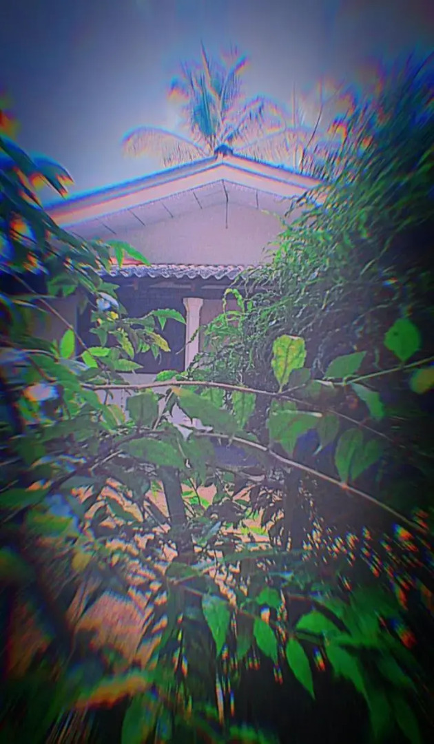 Sinharaja Green Villa