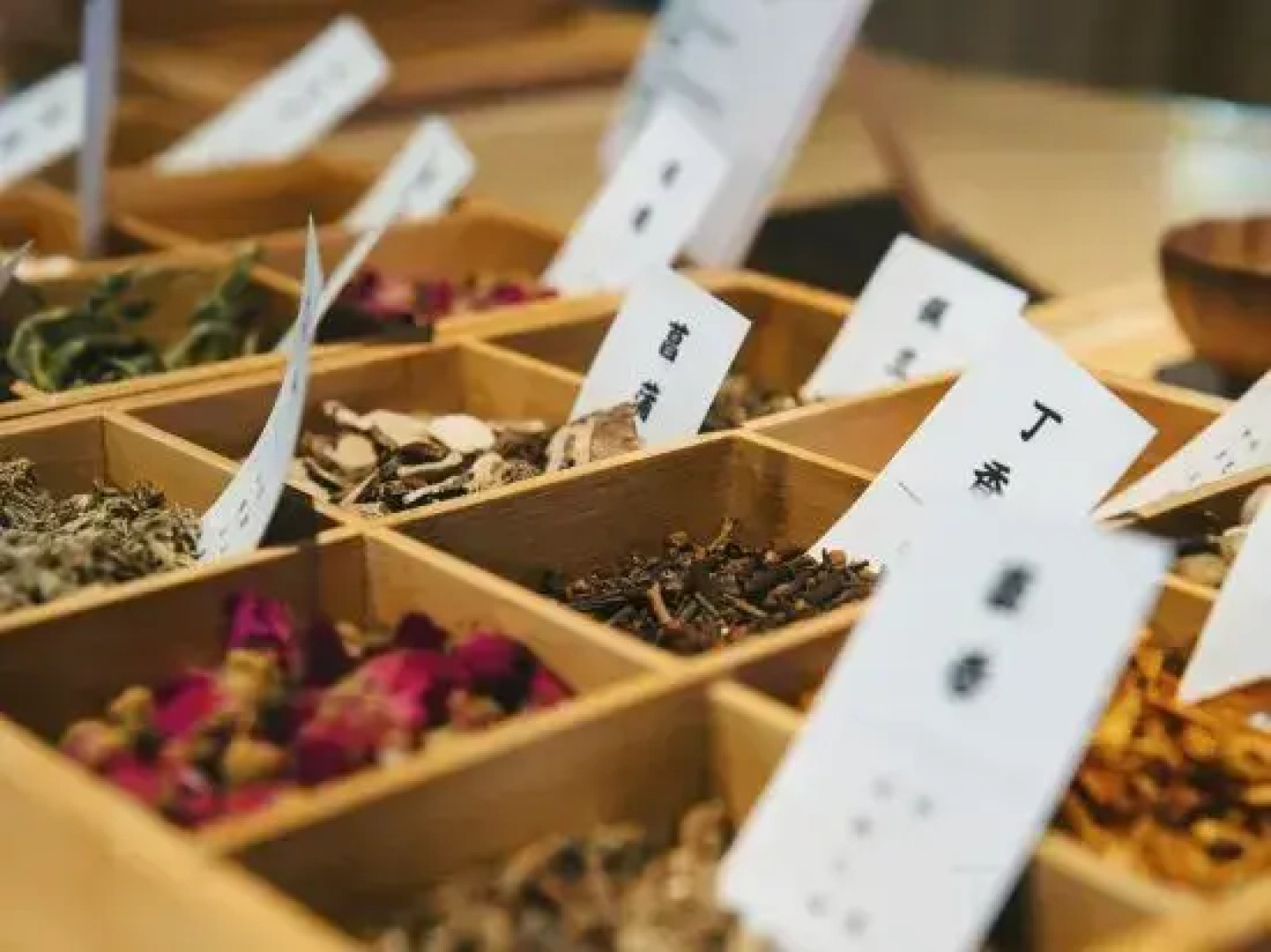 Mogan Mountain Senbo nature park&resort