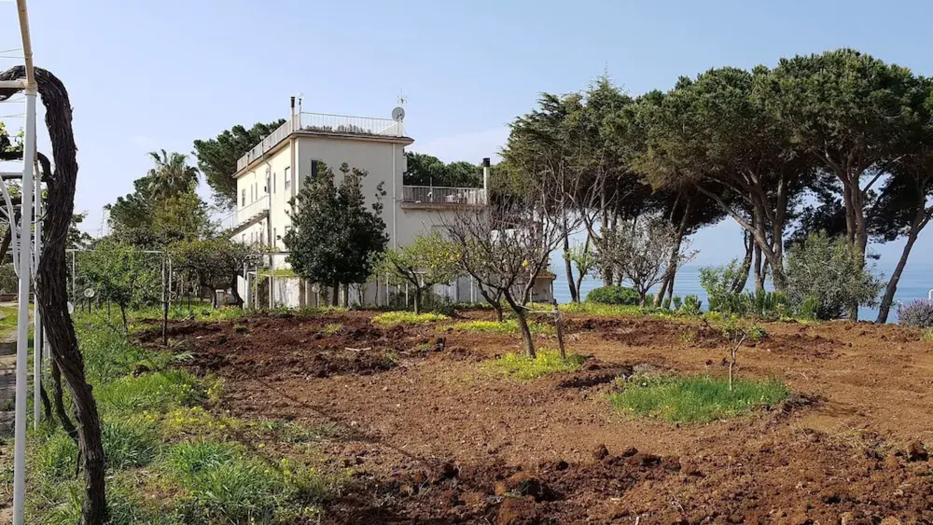 Villa Elvira Country House