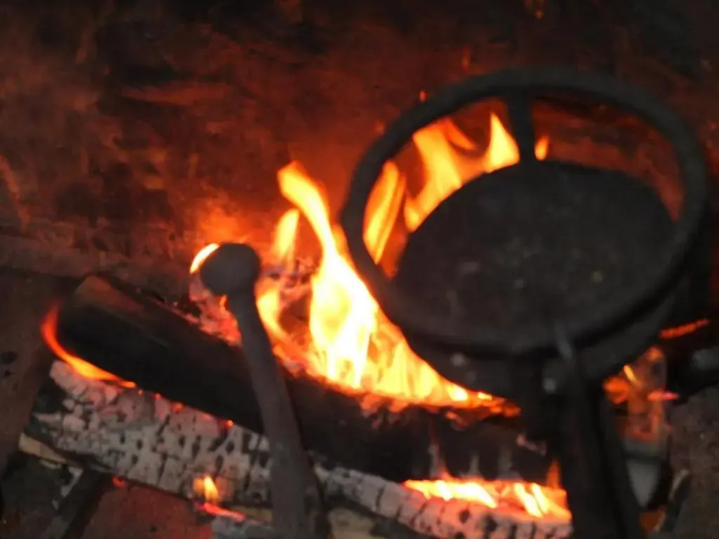 Gîte les Confidences De Messire Sanglier