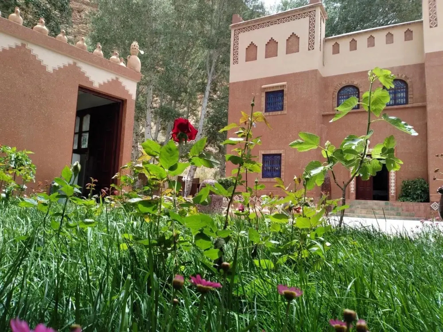 Le Berbere De La Montagne