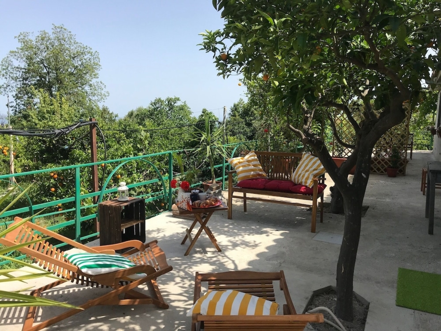 Arancetodamareartemide