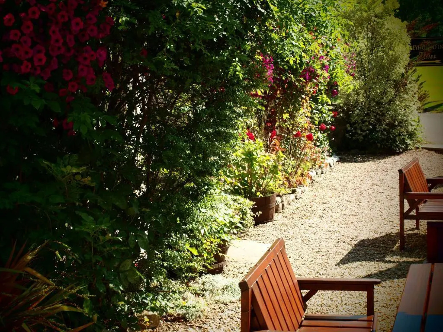 The Greyhound Inn Taunton