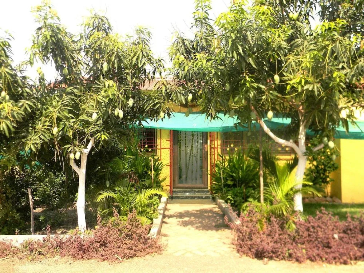 Tigers Heaven Resort