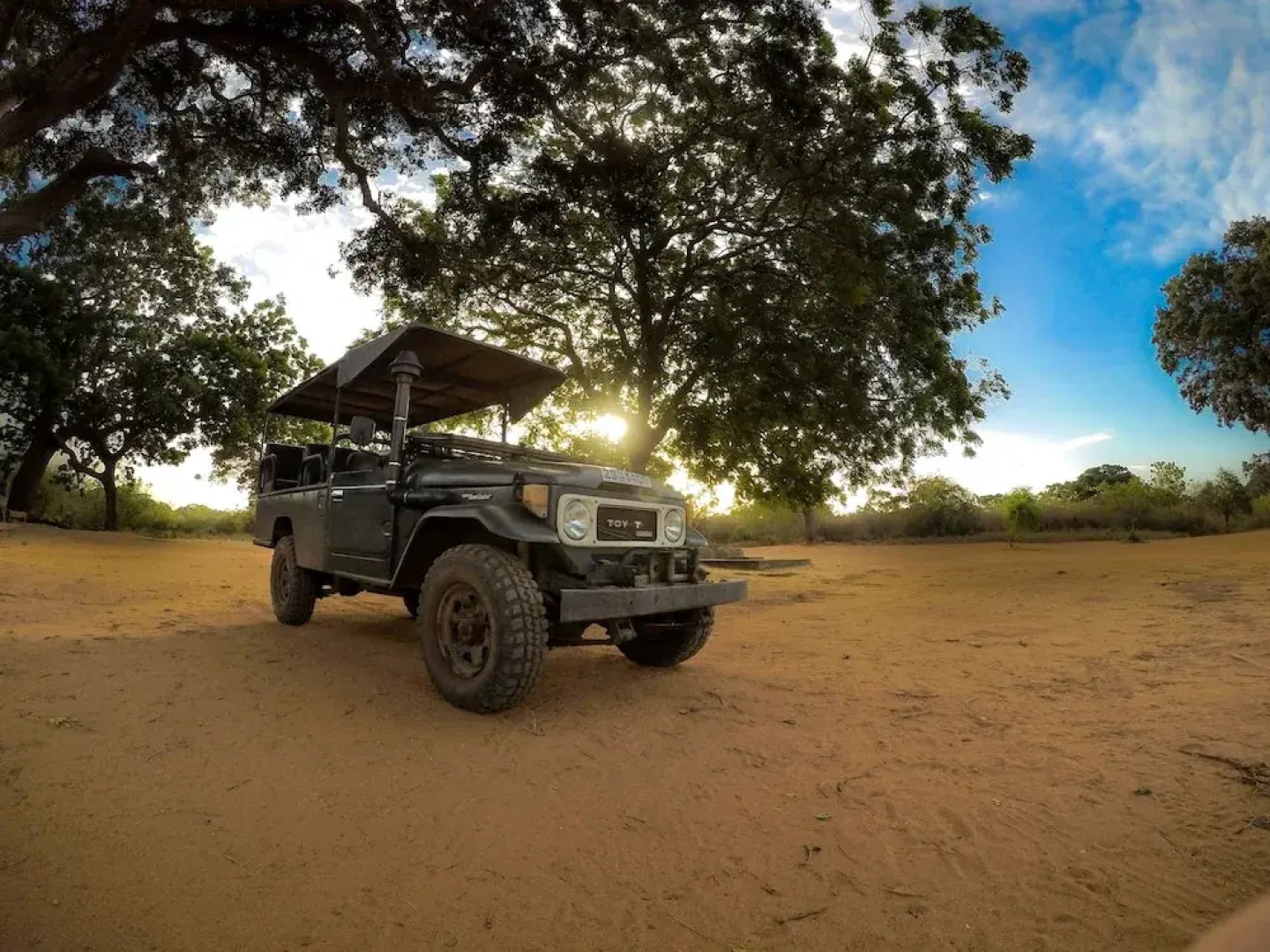 Ceylon Wild Safaris Yala