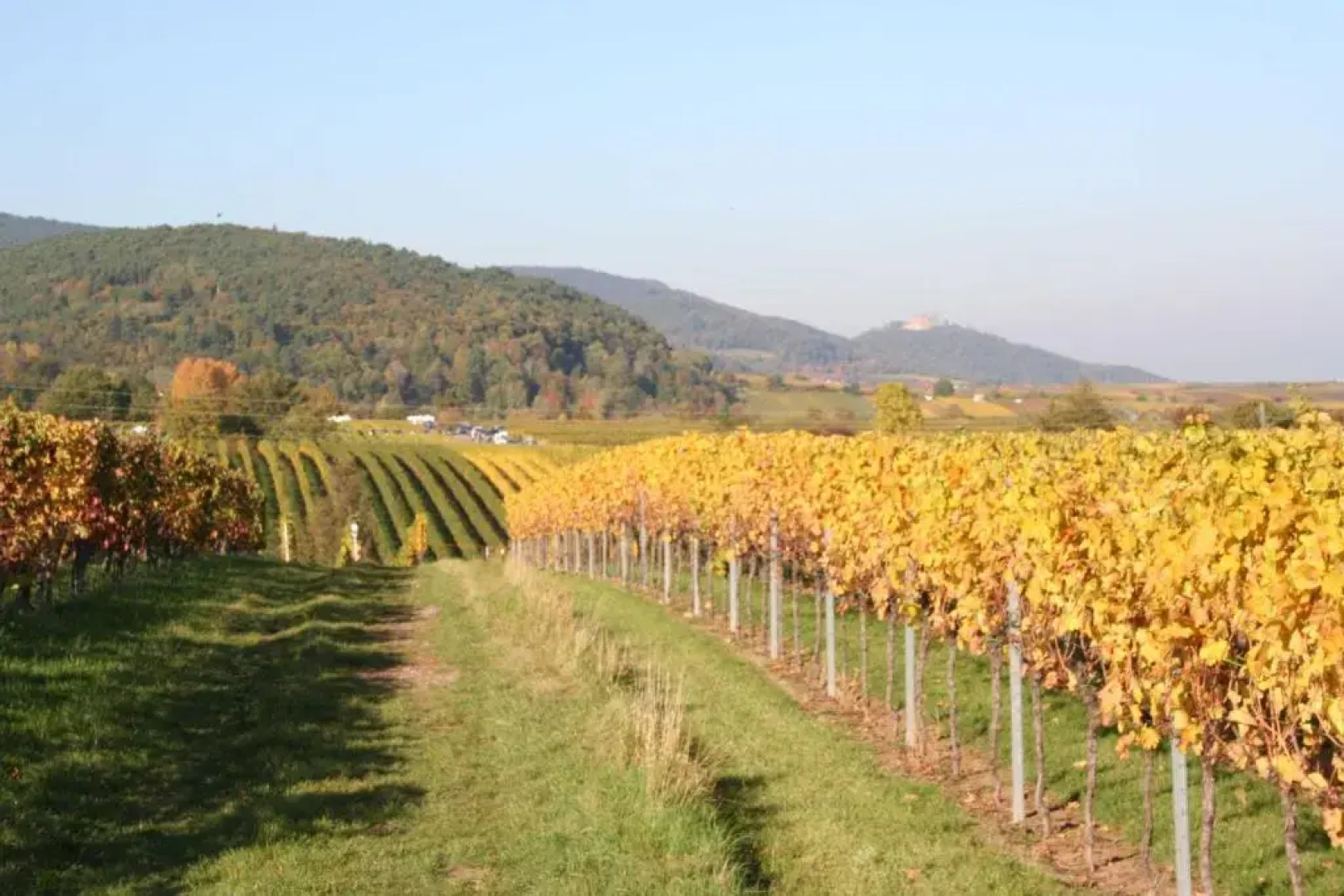 Ferienwohnung Spatzennest