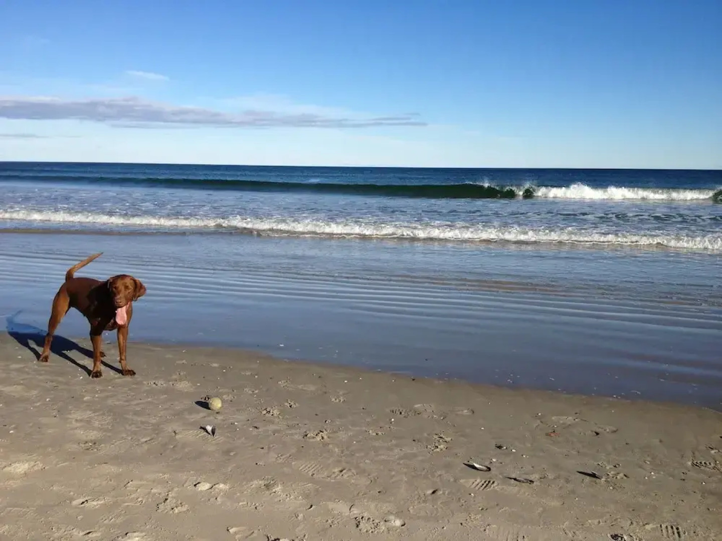 Dragonfly Guest House