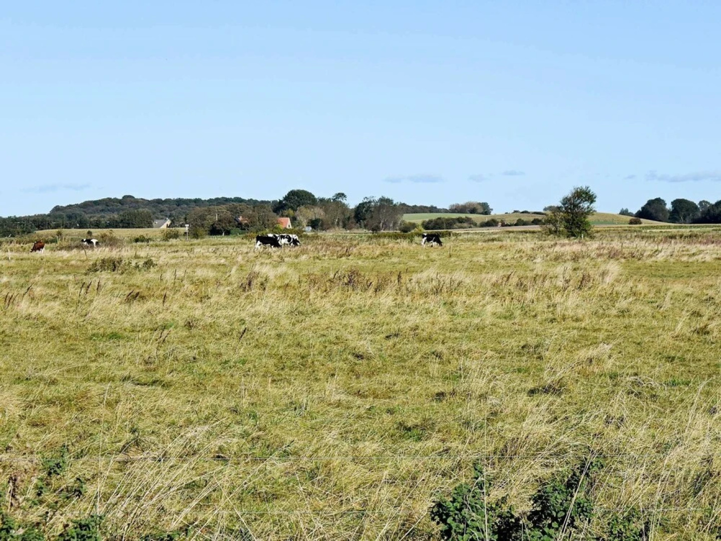 Premium Holiday Home in Funen near Sea