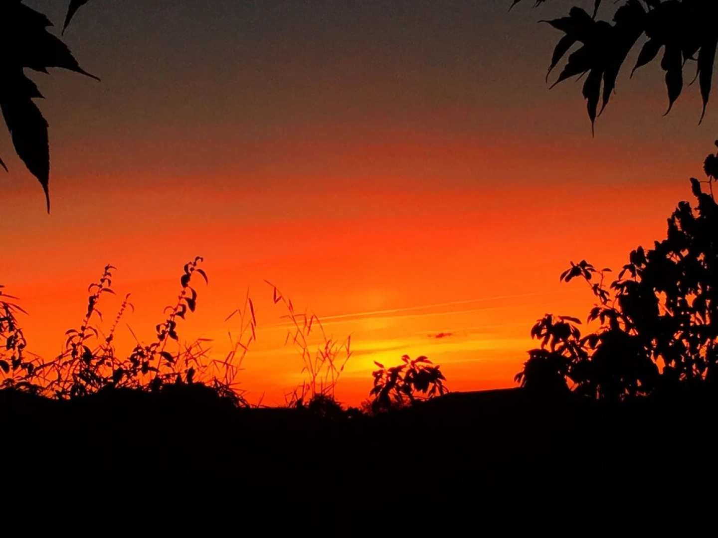 Ecologites les Sureaux