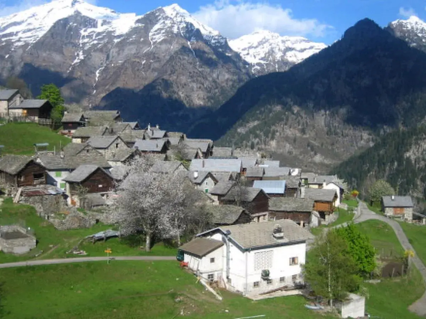 Rustico Gatti