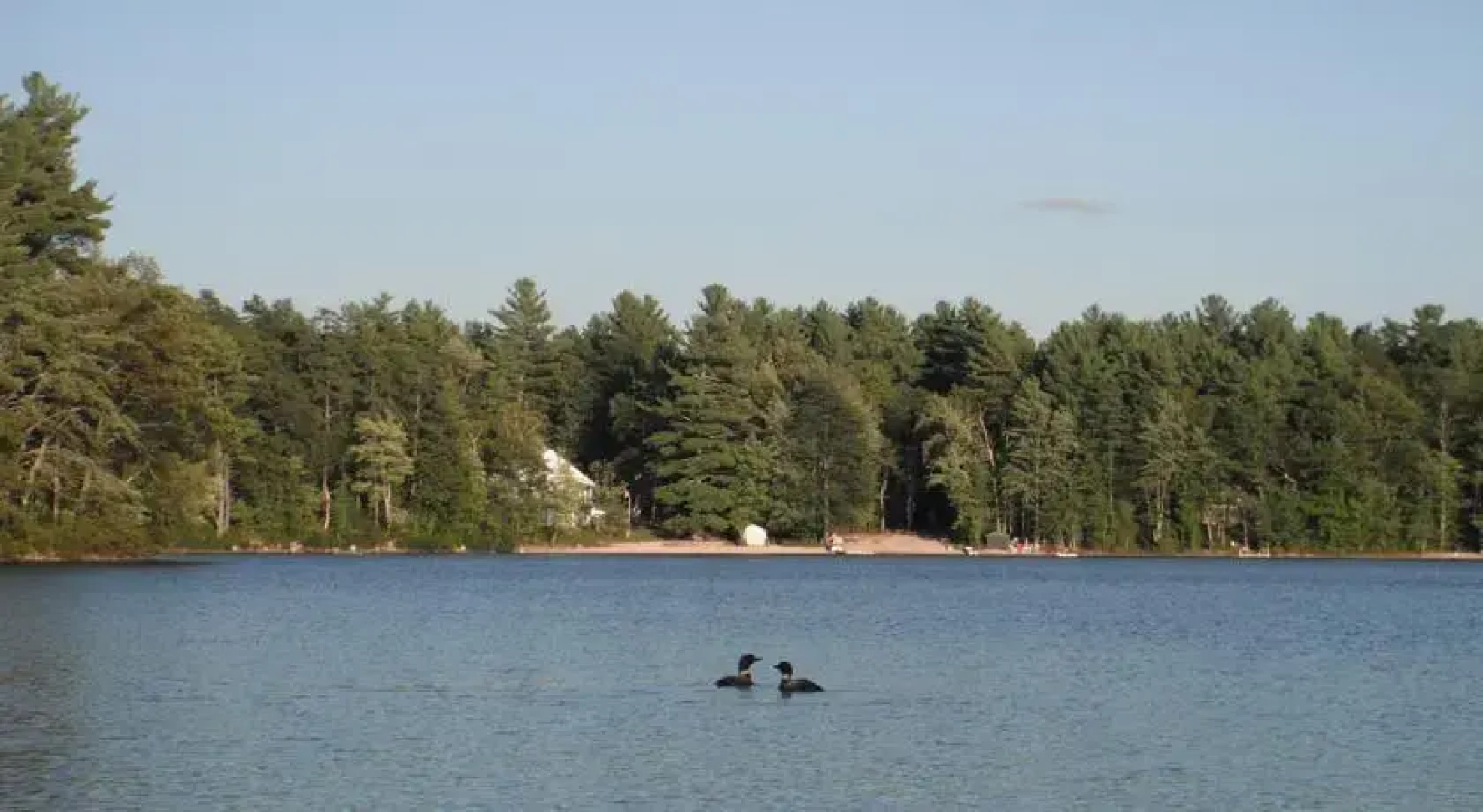 Duncan Lake Cottages