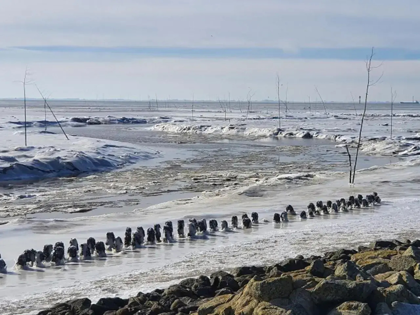 Ferienhaus Christine (Wremen)